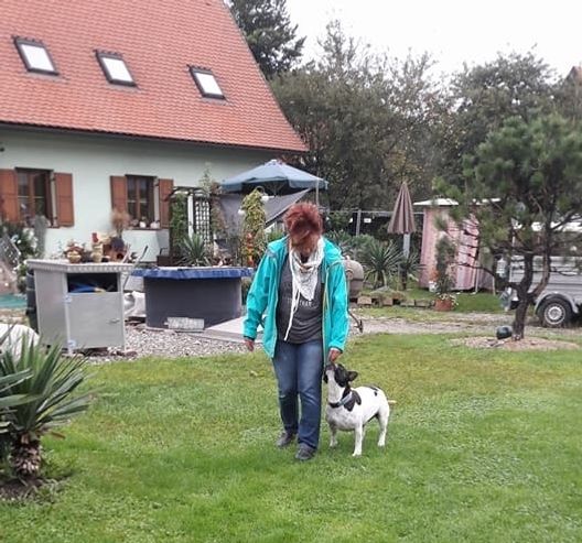 Rosi & Karli beim mobilen Training des Grundgehorsams zu Hause!
