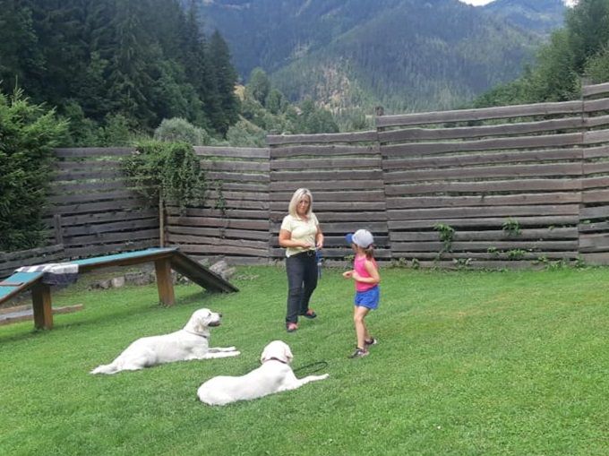Training der Grundsignale auch mit Kind am Trainingsplatz