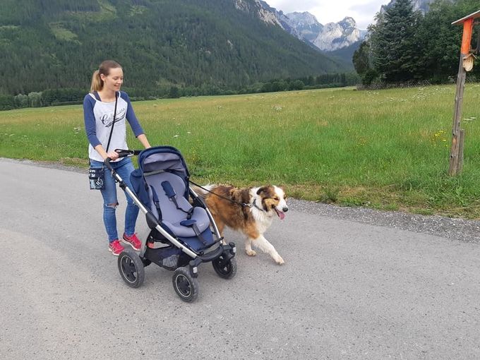 Leinenführigkeitstraining mit dem Kinderwagen!