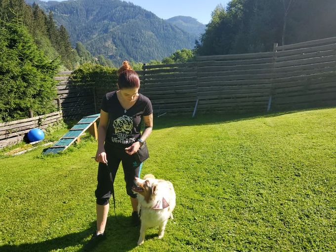 Alltagsübungen am Trainingsplatz mit Anna & Ilvy